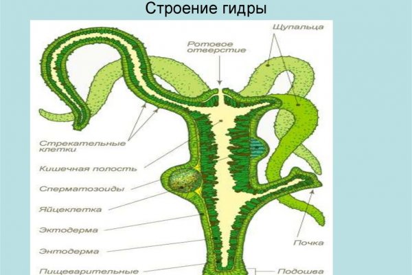 Как войти на кракен