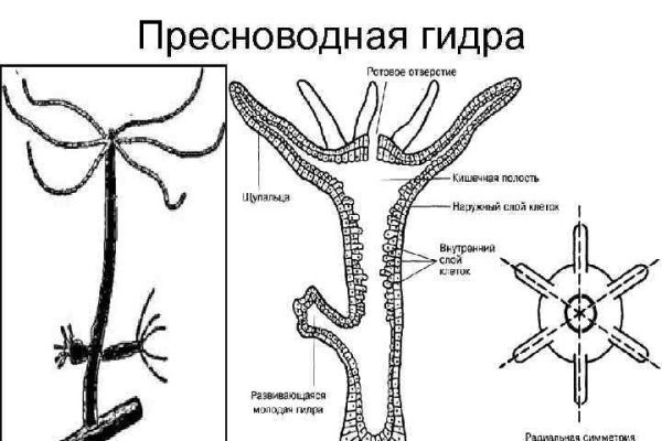 Актуальная ссылка на кракен